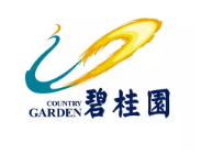 港口镇碧桂园地产